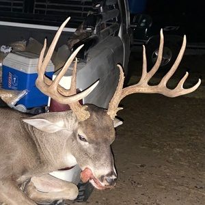 Meet your Posher, Francisco